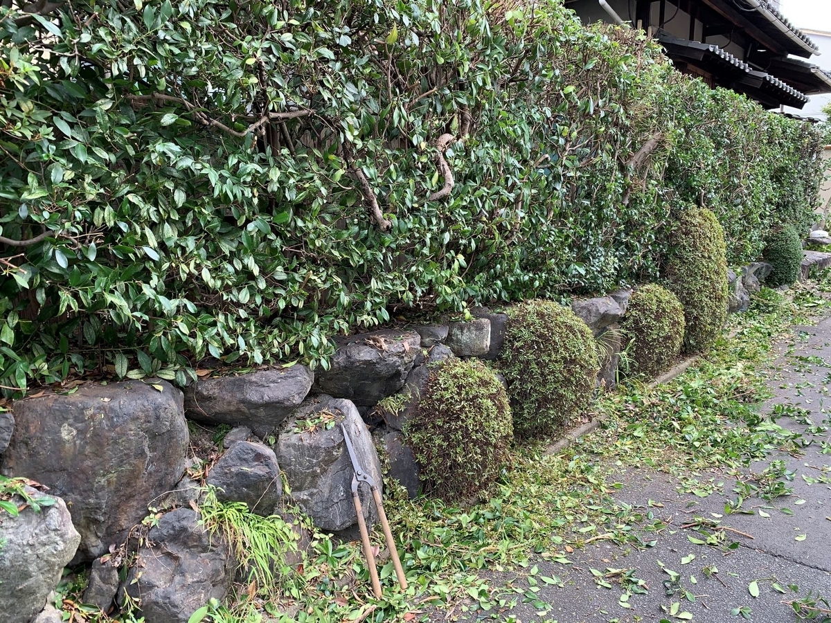 f:id:yukihatu:20200913061033j:plain