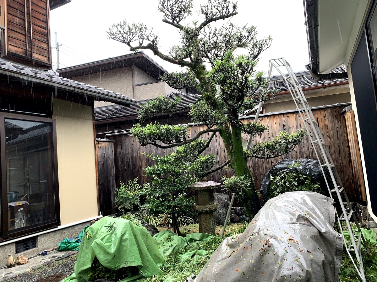 f:id:yukihatu:20201016202747j:plain f:id:yukihatu:20201016202747j:plain