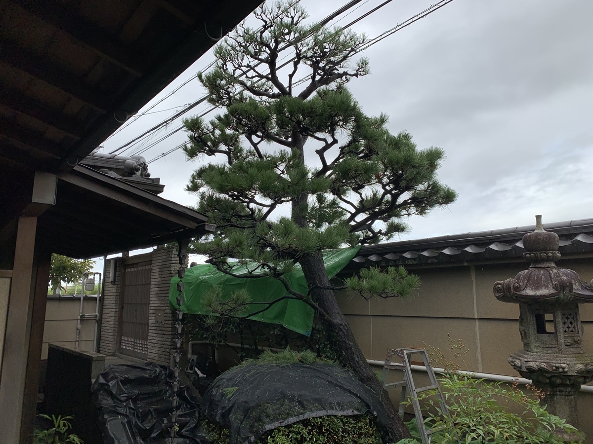 f:id:yukihatu:20201016203513j:plain f:id:yukihatu:20201016203513j:plain