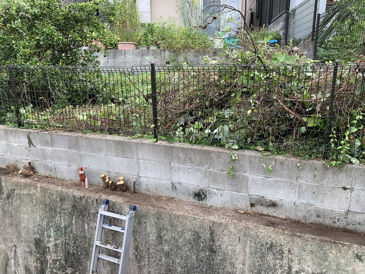 f:id:yukihatu:20201017201028j:plain