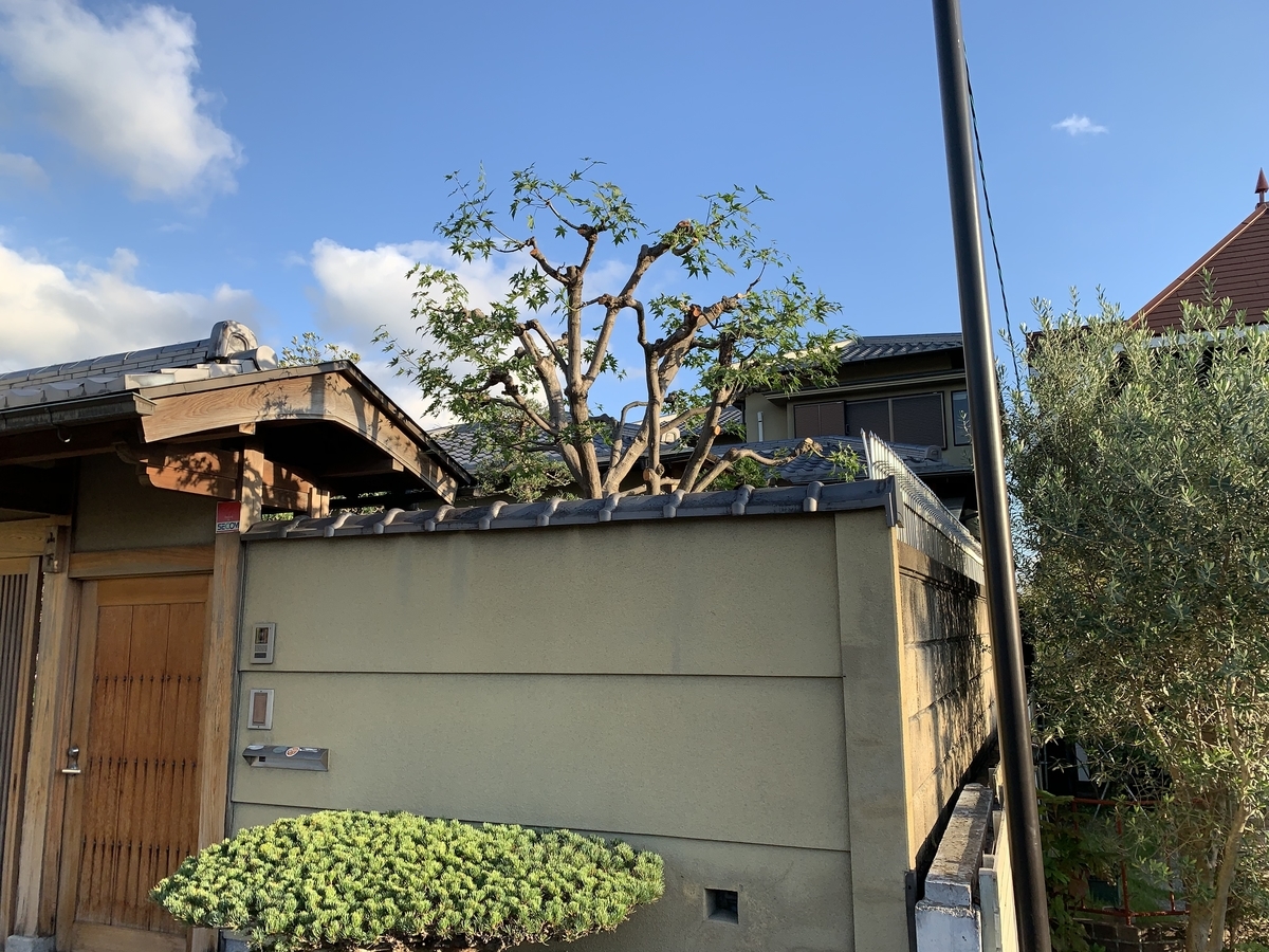 f:id:yukihatu:20201023203008j:plain