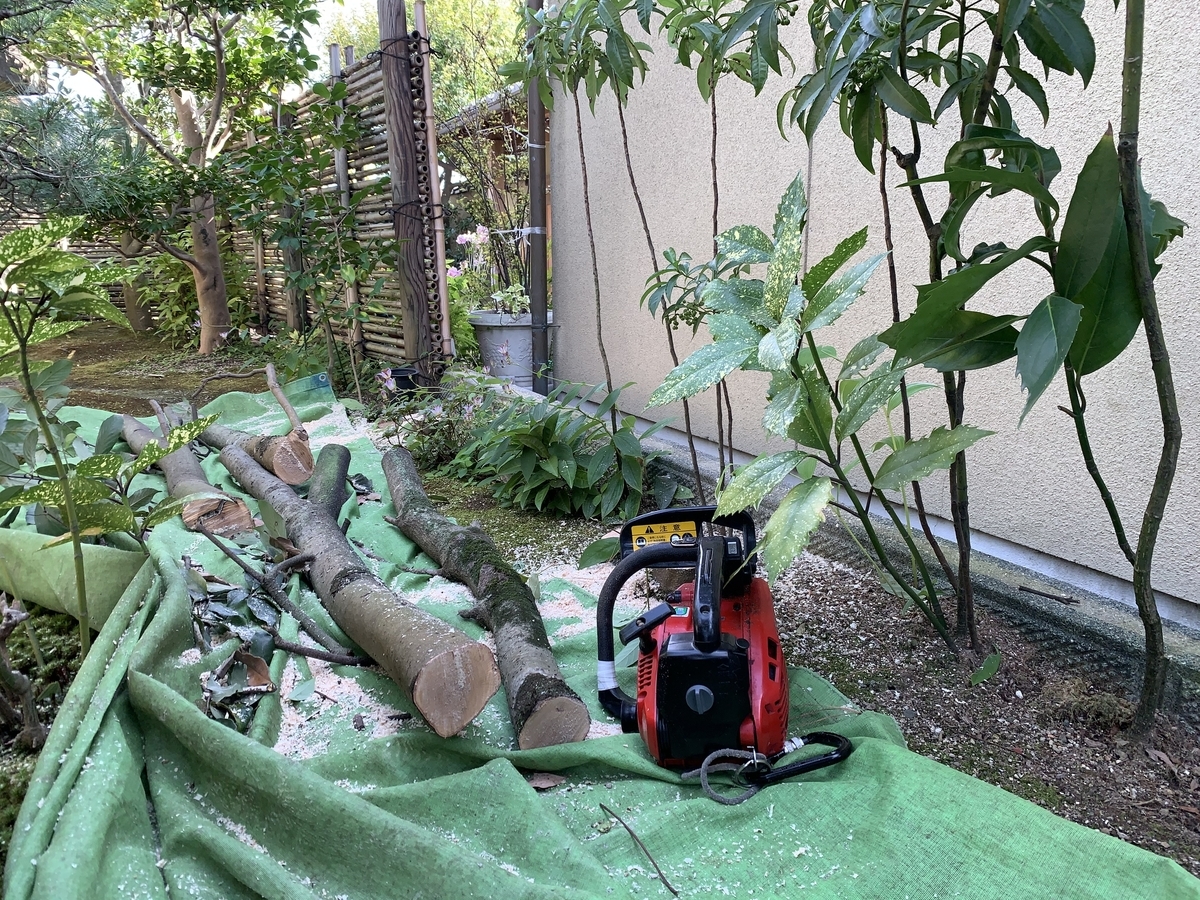 f:id:yukihatu:20201023203707j:plain