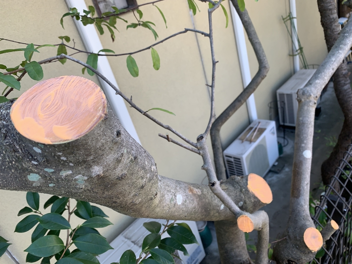 f:id:yukihatu:20201023210819j:plain