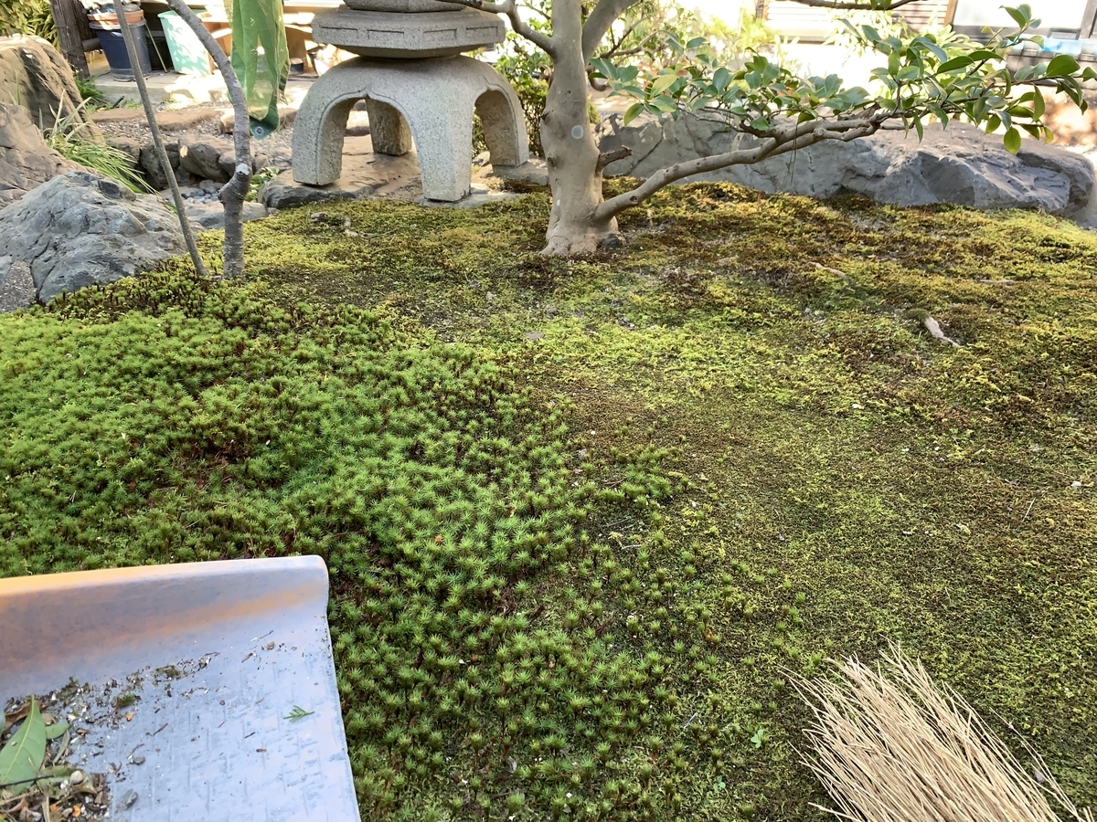 f:id:yukihatu:20201023211254j:plain