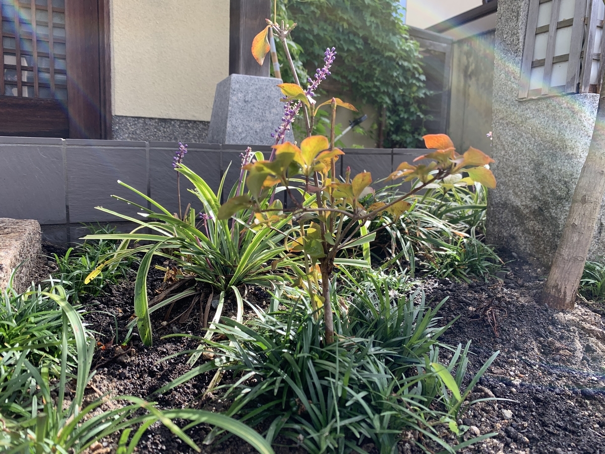 f:id:yukihatu:20201024060845j:plain