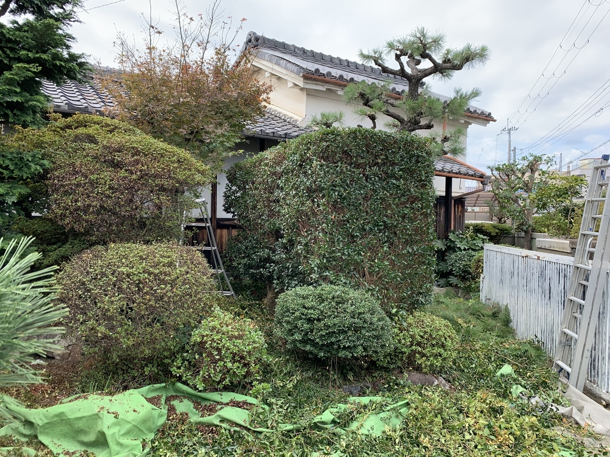 f:id:yukihatu:20201120212434j:plain