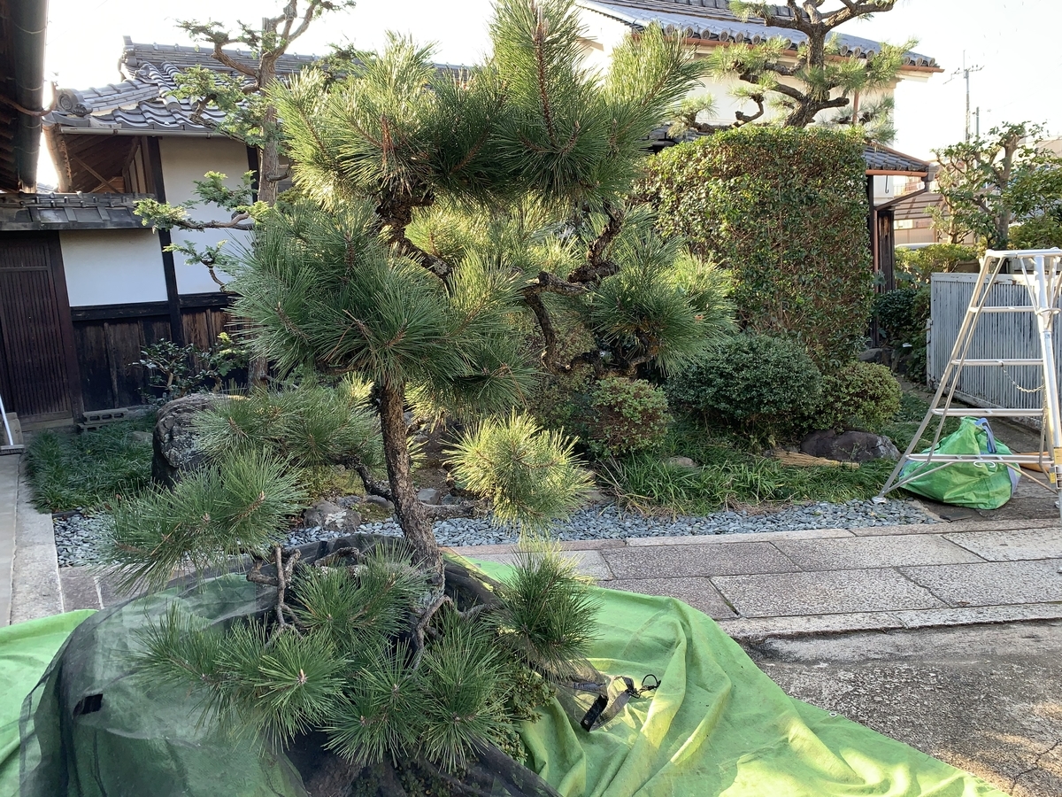 f:id:yukihatu:20201120212618j:plain