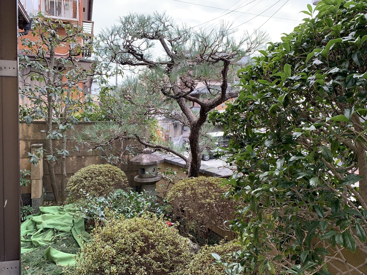 f:id:yukihatu:20201217050104j:plain