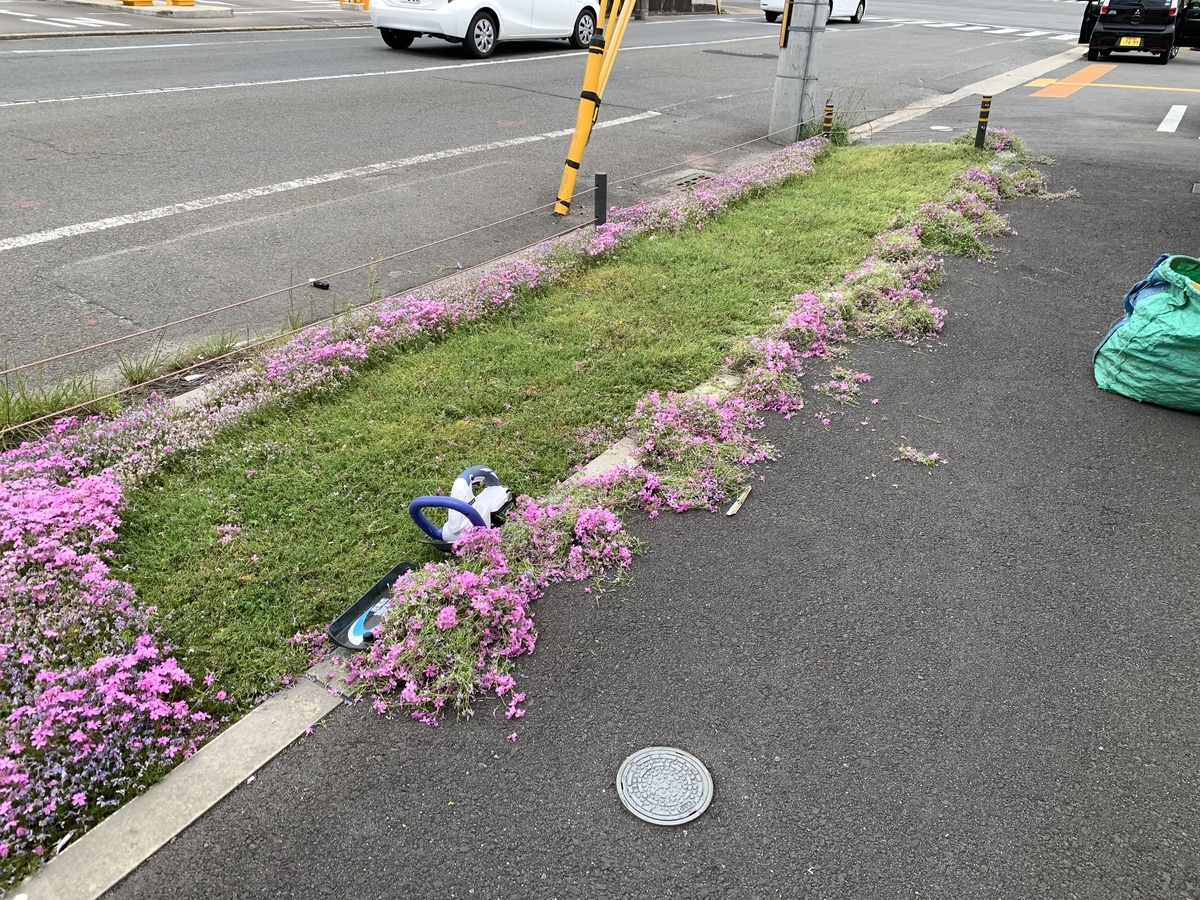 f:id:yukihatu:20210510213729j:plain