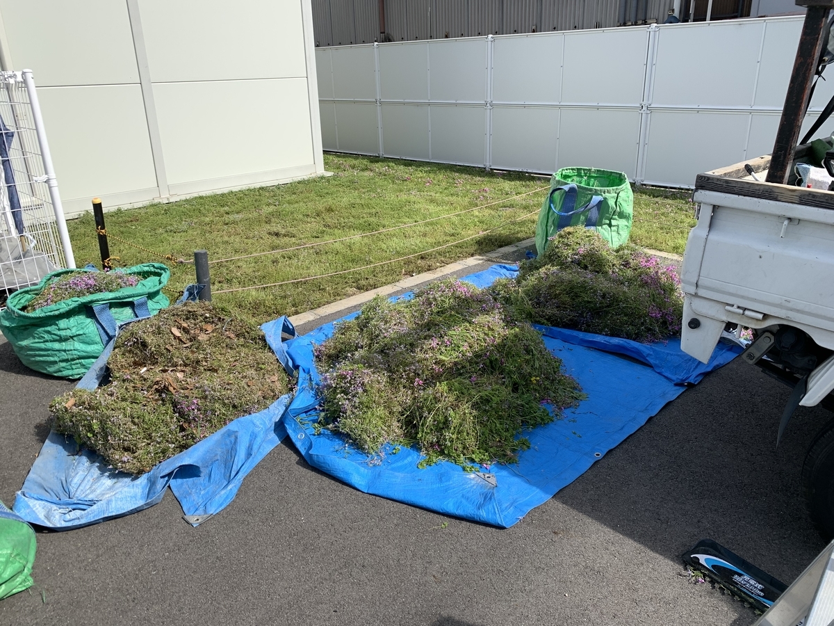 f:id:yukihatu:20210510213832j:plain