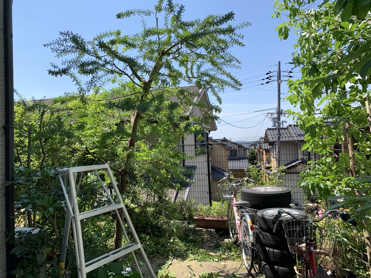 f:id:yukihatu:20210619195107j:plain