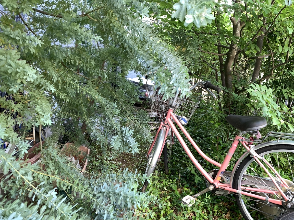 f:id:yukihatu:20210619195416j:plain