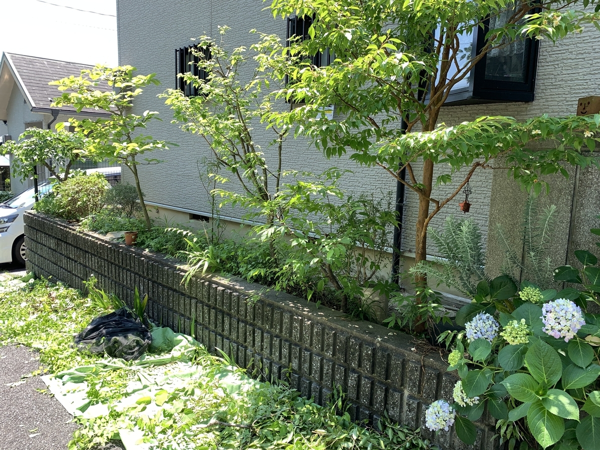 f:id:yukihatu:20210619200333j:plain