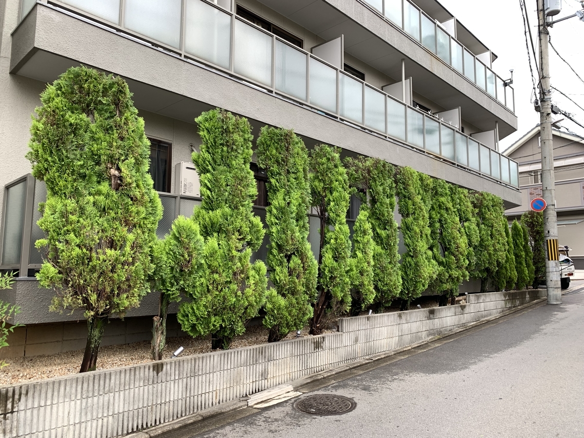 f:id:yukihatu:20210630222000j:plain