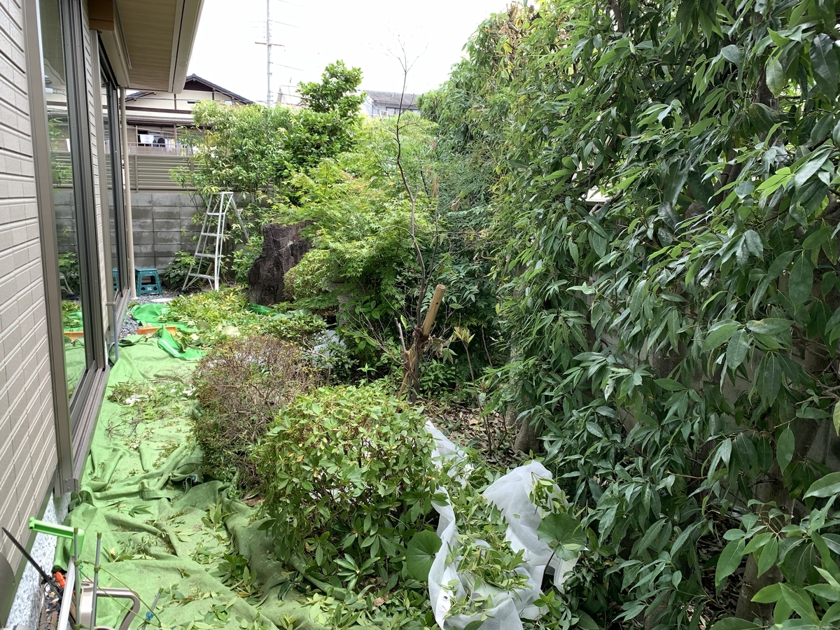 f:id:yukihatu:20210714204854j:plain