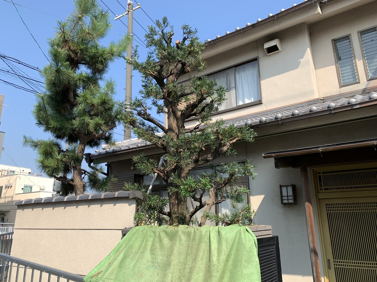 f:id:yukihatu:20210808101923j:plain