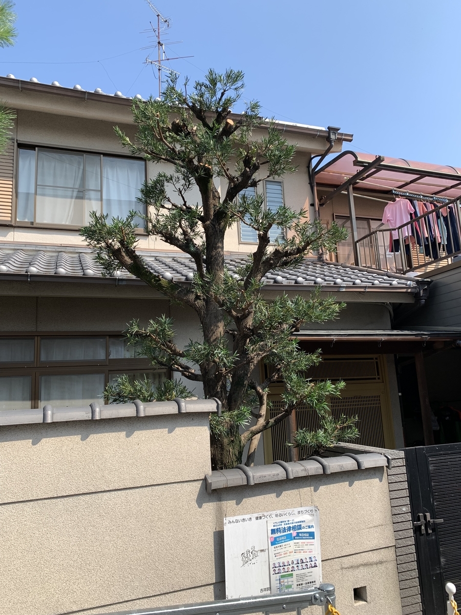 f:id:yukihatu:20210808102401j:plain