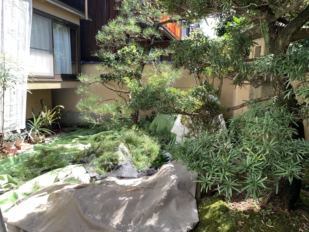 f:id:yukihatu:20211006221224j:plain