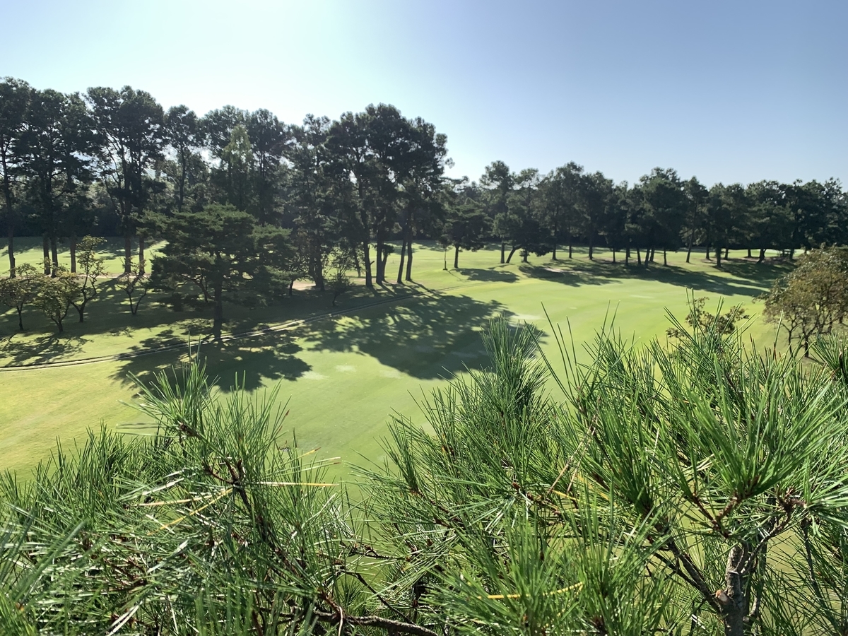 f:id:yukihatu:20211011215524j:plain