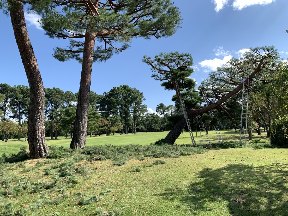 f:id:yukihatu:20211011220412j:plain