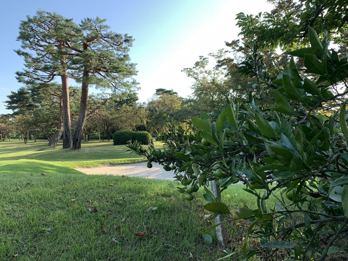 f:id:yukihatu:20211011221028j:plain