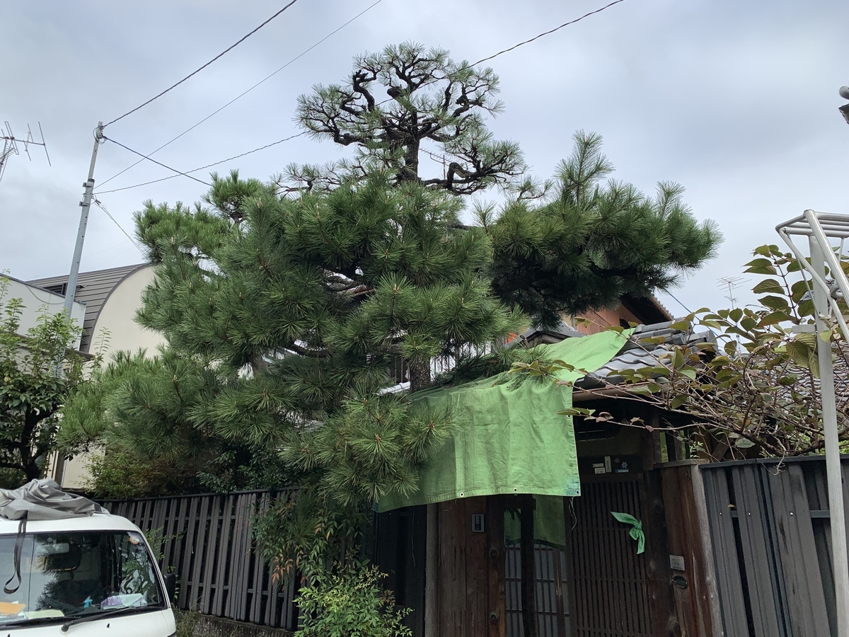 f:id:yukihatu:20211017184952j:plain