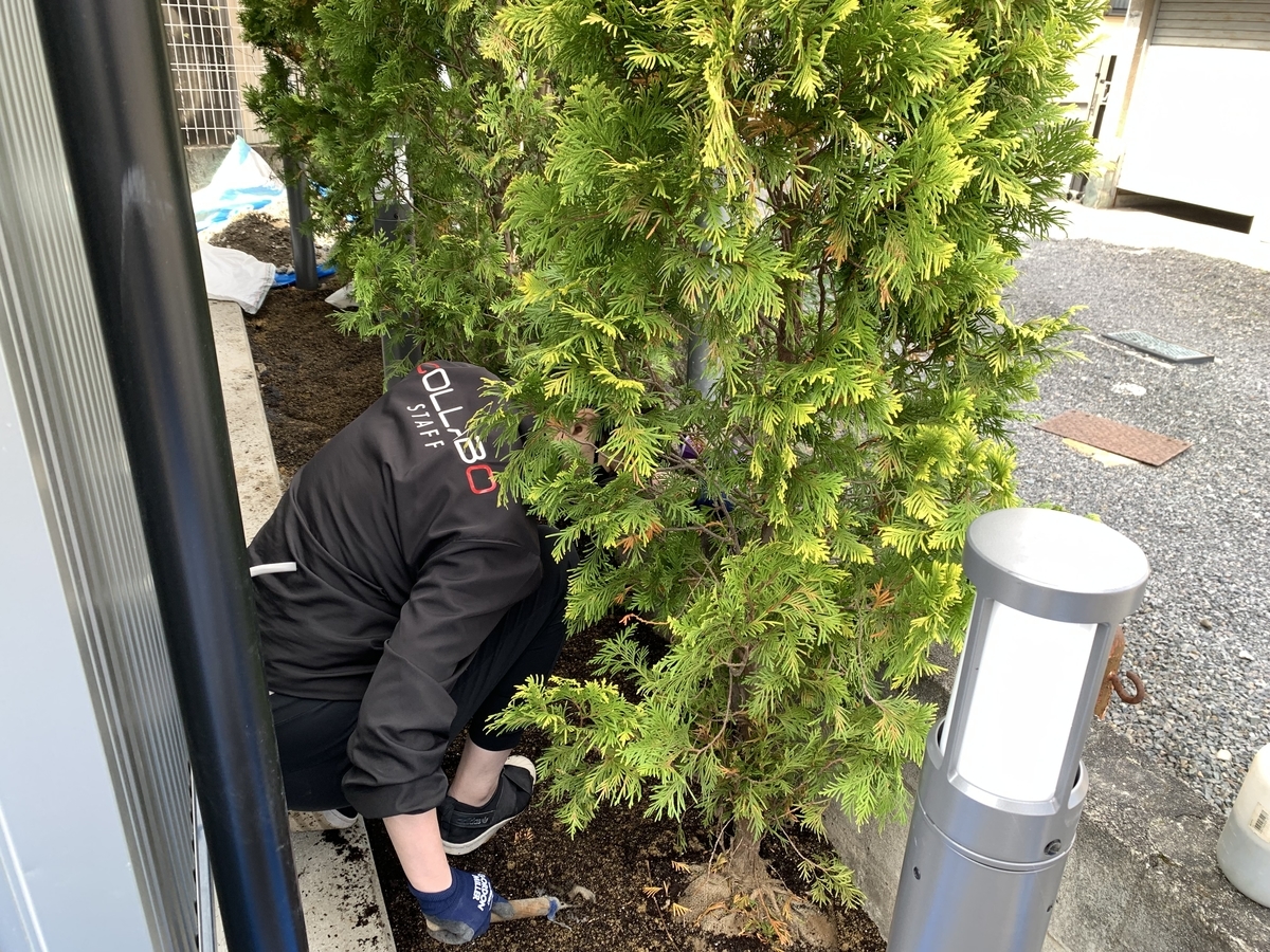 f:id:yukihatu:20211109214556j:plain