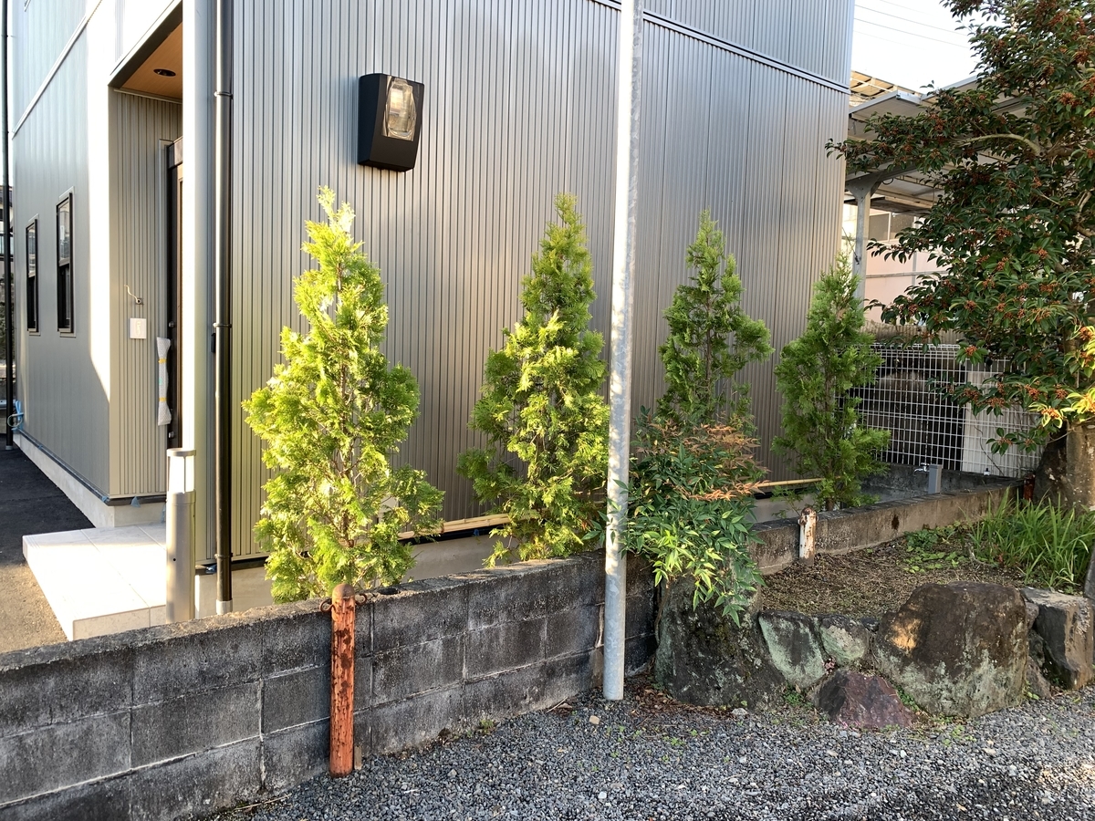 f:id:yukihatu:20211109220206j:plain