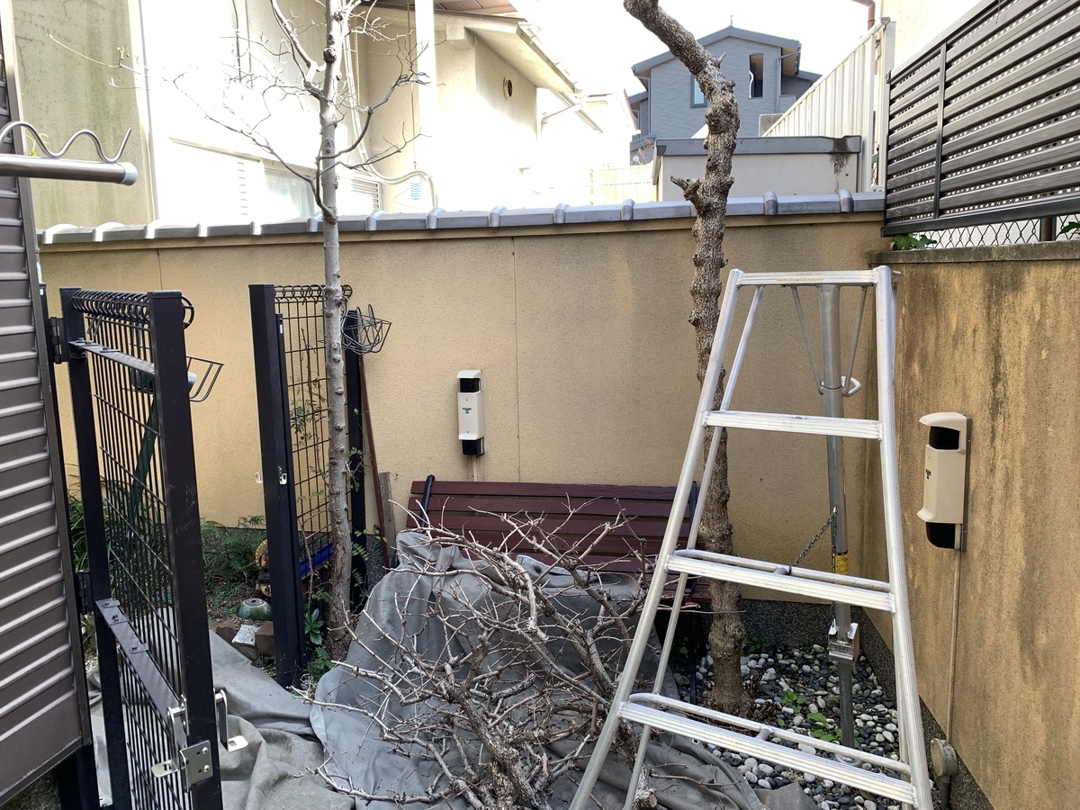 f:id:yukihatu:20211110185536j:plain