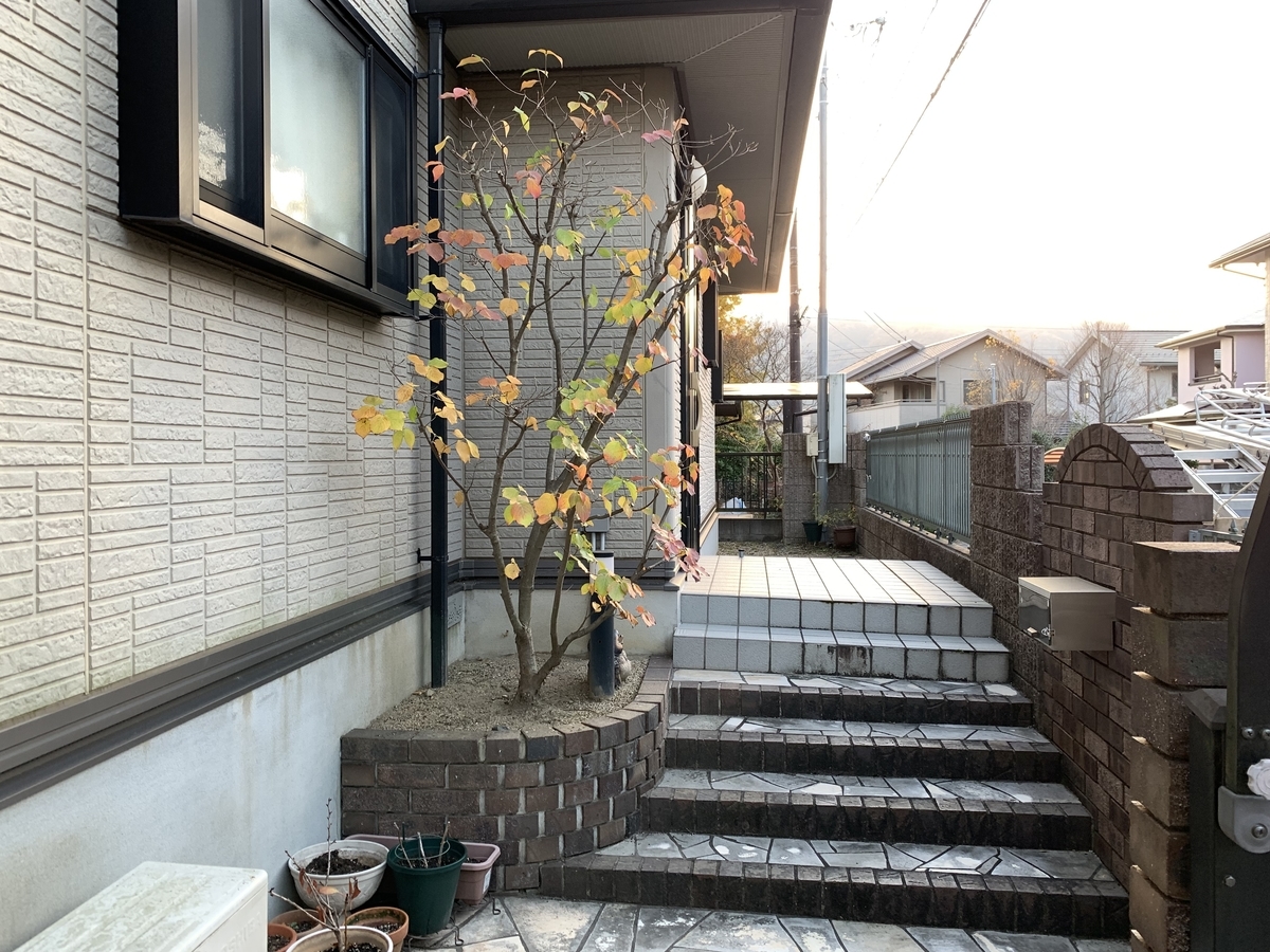 f:id:yukihatu:20211204063821j:plain