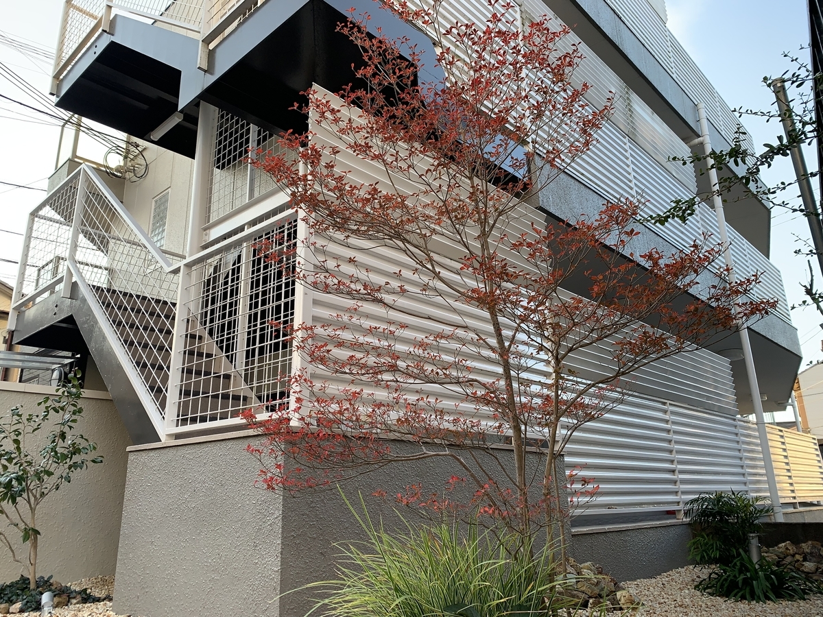 f:id:yukihatu:20211204064055j:plain