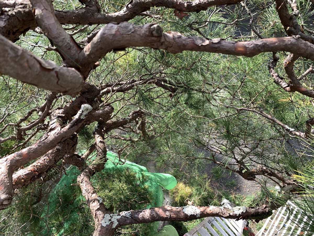 f:id:yukihatu:20211211214133j:plain