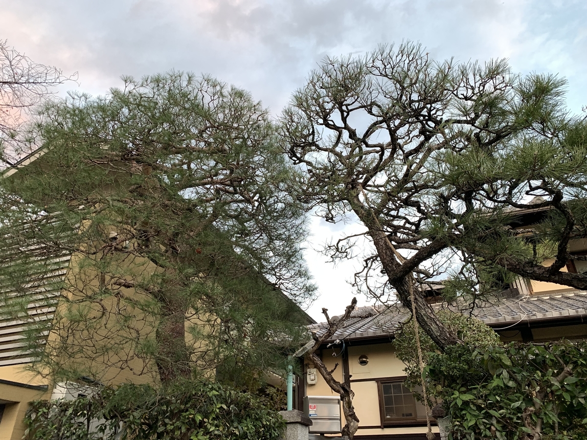 f:id:yukihatu:20211211214835j:plain