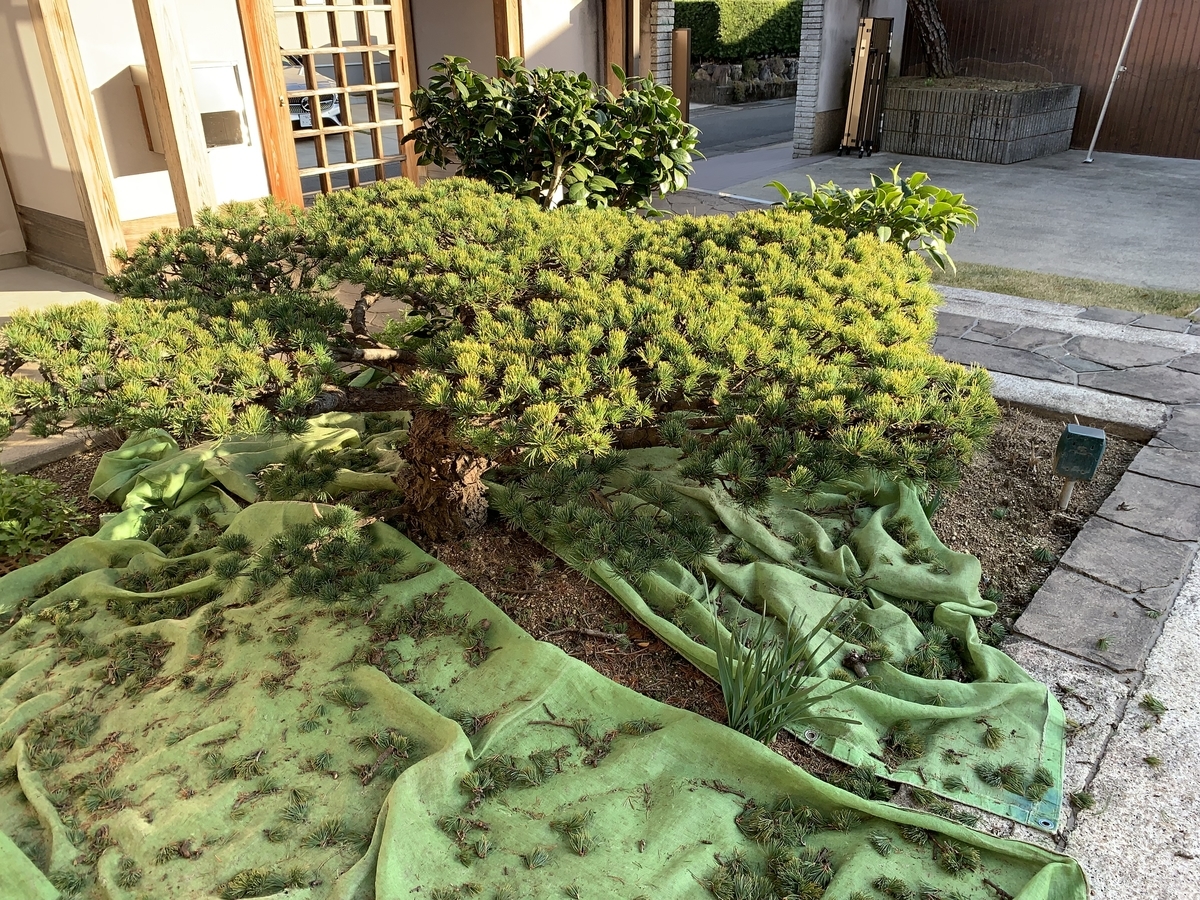 f:id:yukihatu:20211217054412j:plain