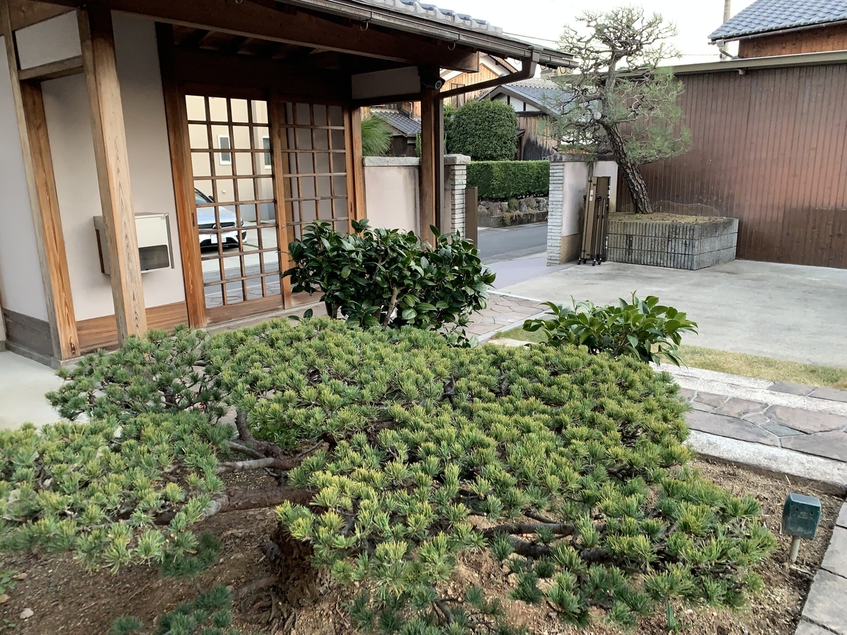 f:id:yukihatu:20211217054912j:plain