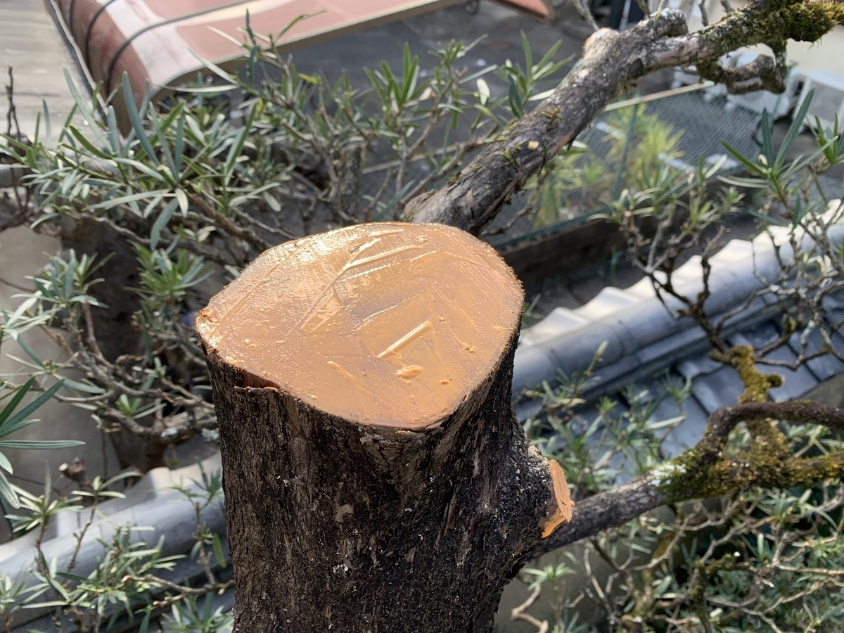 f:id:yukihatu:20211228055054j:plain