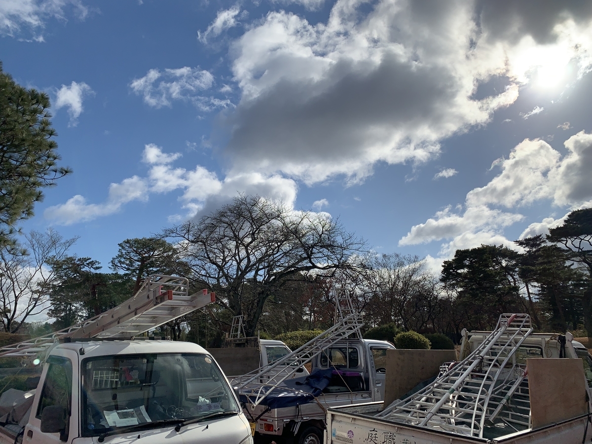 f:id:yukihatu:20220106202512j:plain