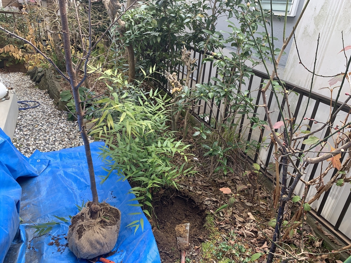 f:id:yukihatu:20220306154012j:plain