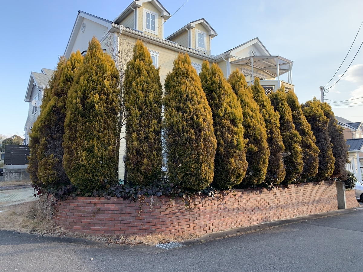 f:id:yukihatu:20220306155821j:plain