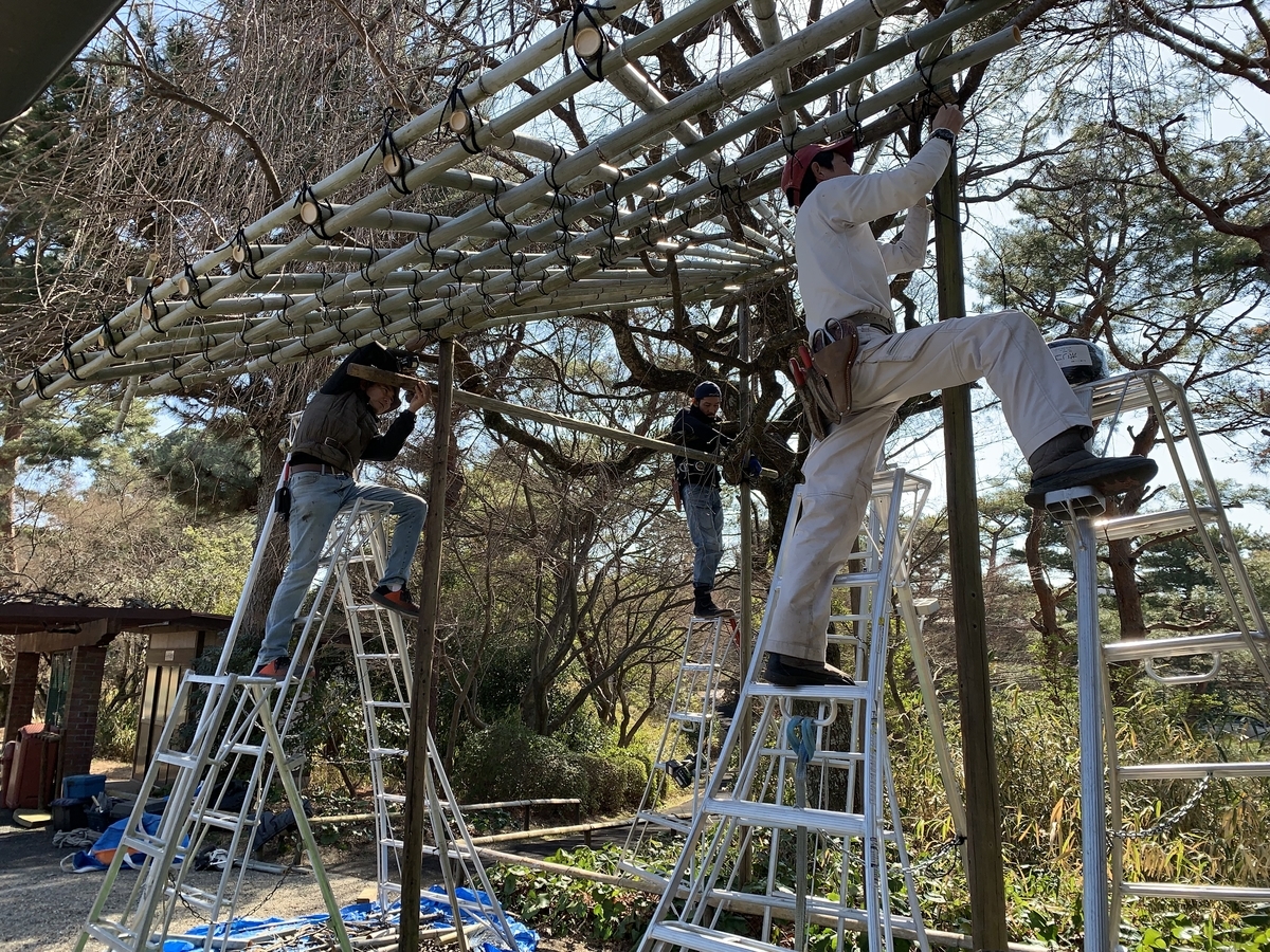 f:id:yukihatu:20220408055659j:plain