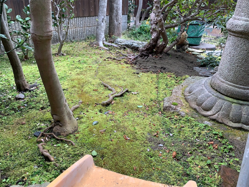 f:id:yukihatu:20220415052325j:image