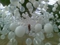 20090503175549
