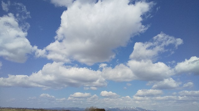 f:id:yukihira66:20190331194303j:image f:id:yukihira66:20190331194303j:image