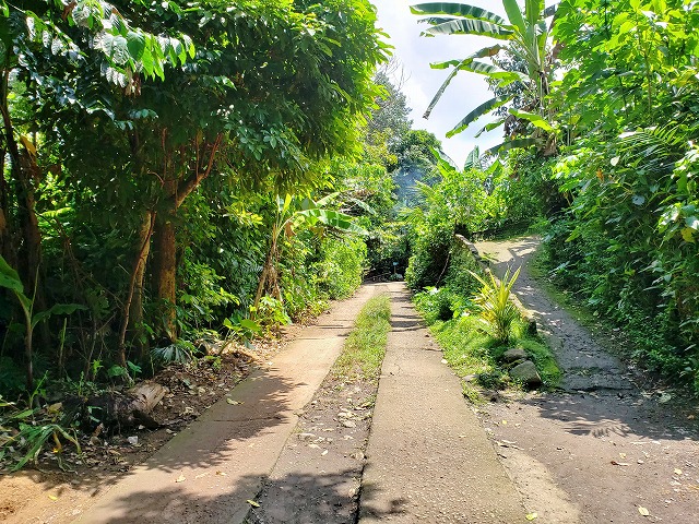 f:id:yukihiro0201:20190418141211j:plain f:id:yukihiro0201:20190418141211j:plain