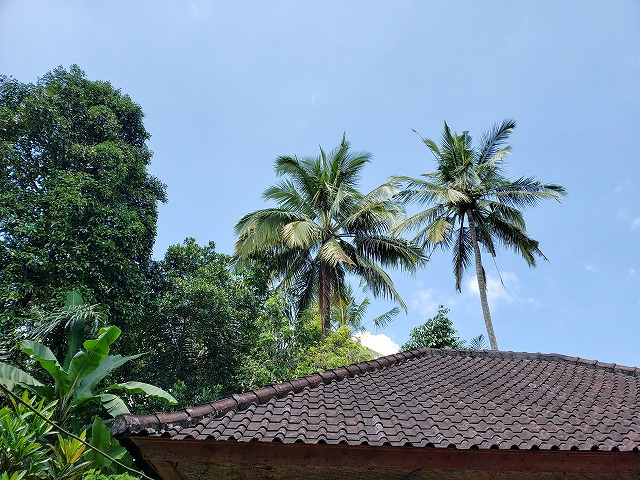 f:id:yukihiro0201:20190418142611j:plain f:id:yukihiro0201:20190418142611j:plain