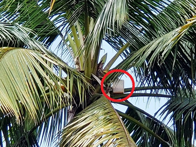 f:id:yukihiro0201:20190418142816j:plain f:id:yukihiro0201:20190418142816j:plain