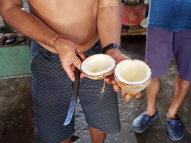 f:id:yukihiro0201:20190418181645j:plain f:id:yukihiro0201:20190418181645j:plain