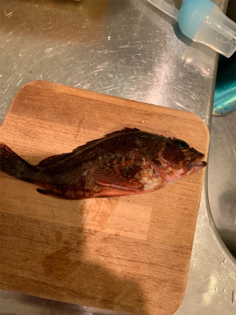 f:id:yukijuki:20190506012051j:image f:id:yukijuki:20190506012051j:image