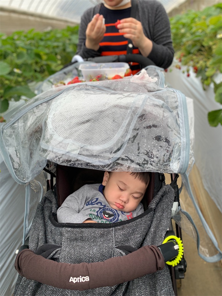 f:id:yukijuki:20190515140004j:image f:id:yukijuki:20190515140004j:image