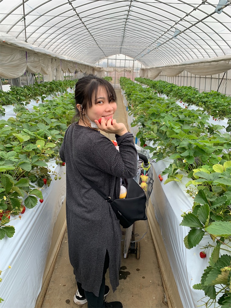 f:id:yukijuki:20190515140242j:image f:id:yukijuki:20190515140242j:image